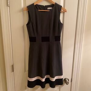 Calvin Klein Sleeveless Sheath Dress - 6P